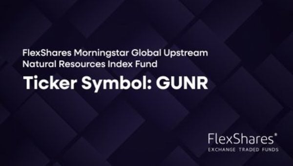 VIDEO: ETF of the Week: GUNR – ETF Database