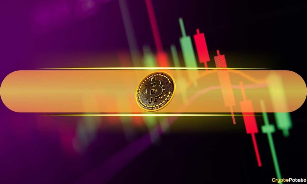 Altcoins Keep Steady as Bitcoin (BTC) Defends $64K Level: Market Watch