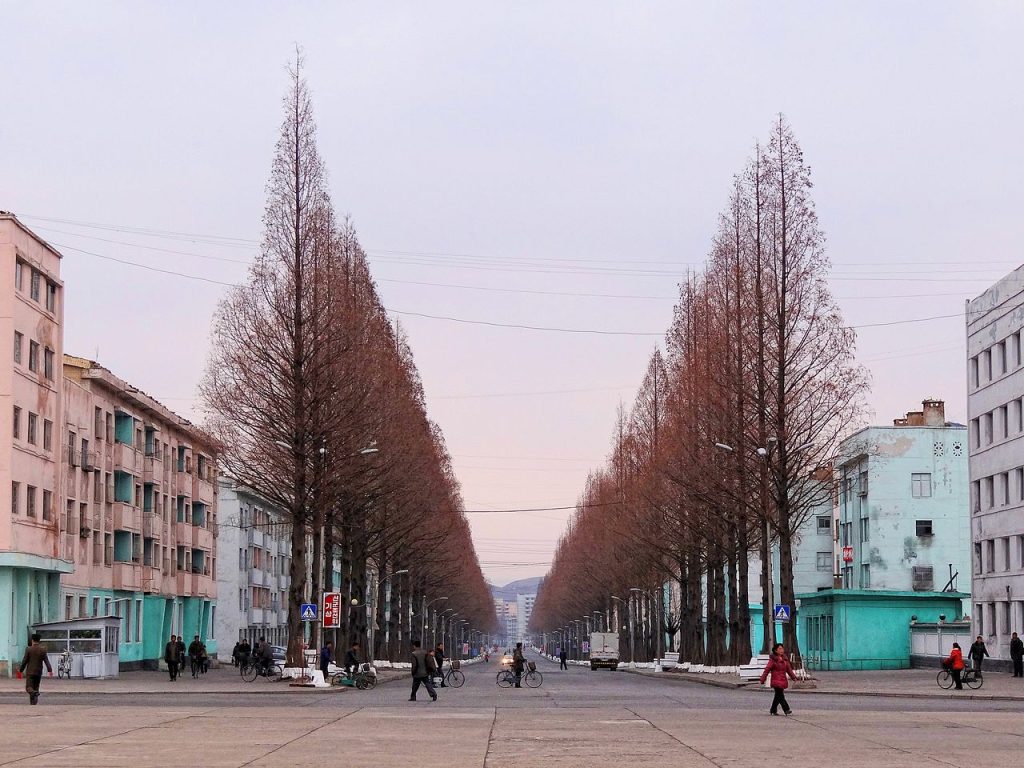 Markets, not wages, feed NK households