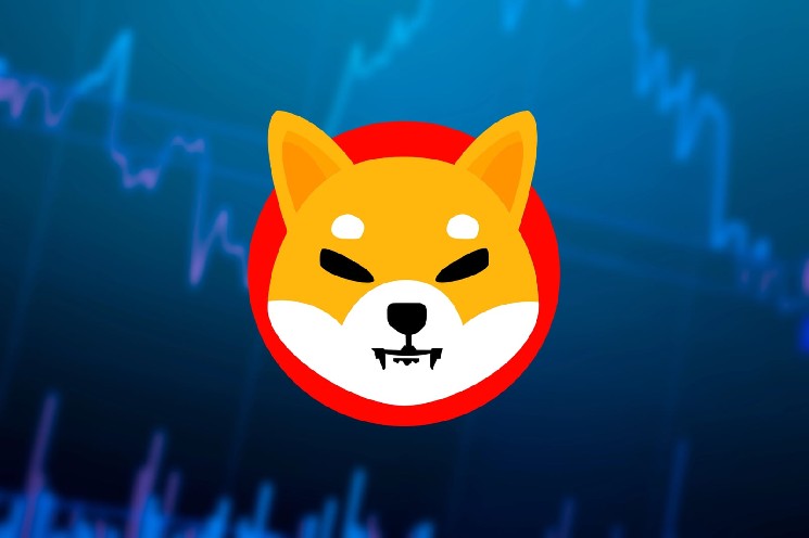 New Shiba Inu Coin Whale at the Bottom: Mysterious Wallet Claims 162 Billion SHIB From Coinbase