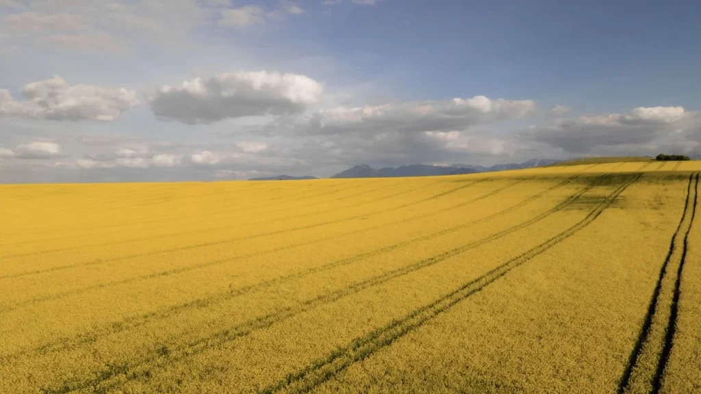 Hedge fund Millennium hired the man who built Squarepoint’s agricultural business