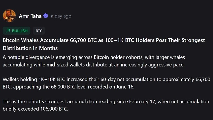 Whales vs. Mid-Tier Holders: The Dramatic Shift in Bitcoin Ownership Splitting the Market
