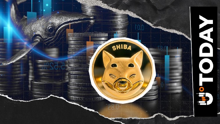 SHIB Exchange Flow Falls 97%: What’s Driving Bears?