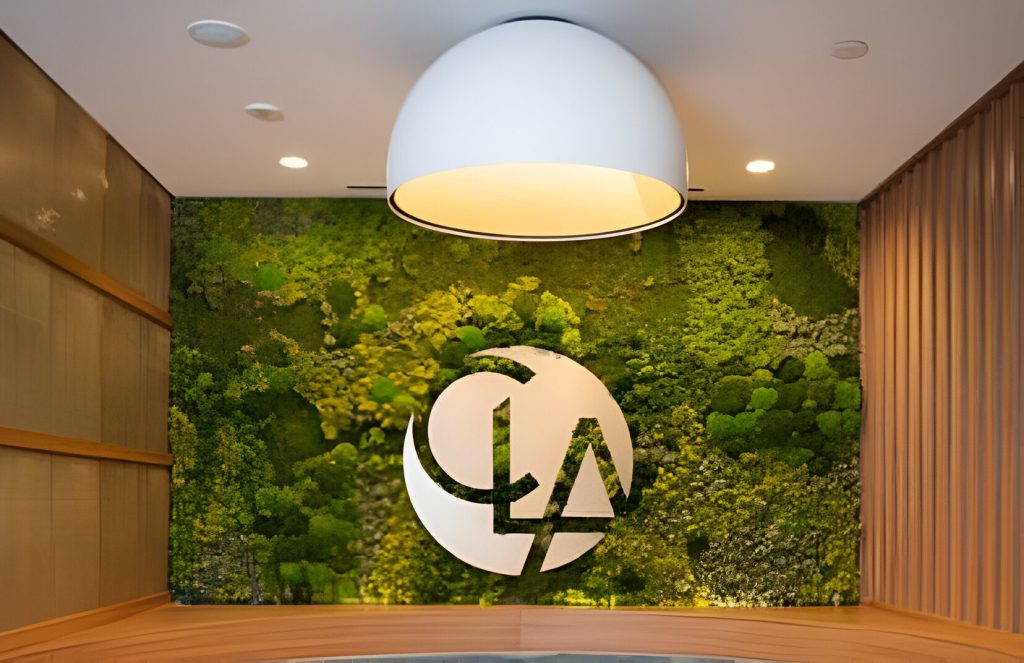 Middle-Market Leaders Confident in Economy But Face AI Reality Check, CLA Says