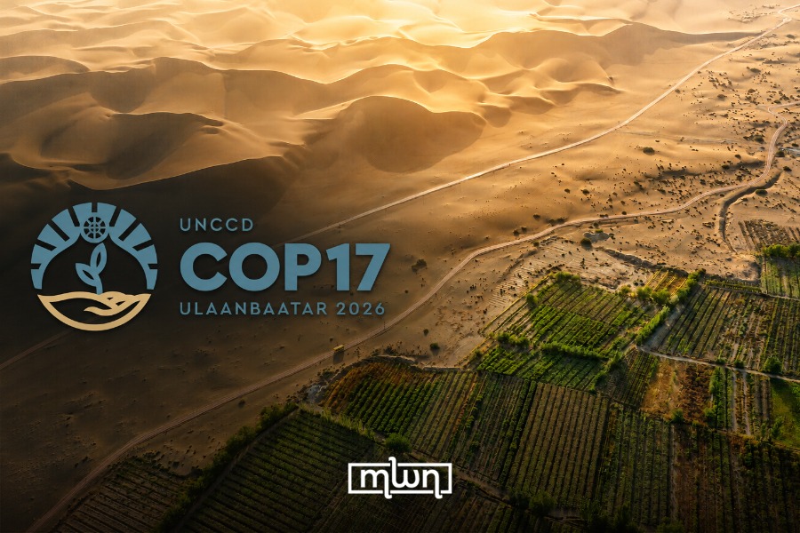 Why Land Restoration Must Be a Strategic Climate Priority