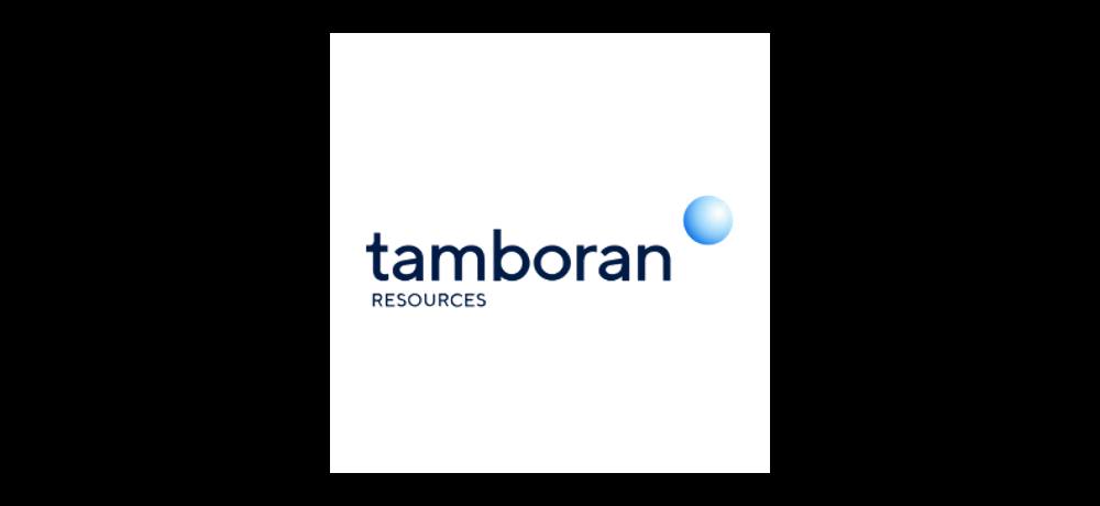 TAMBORAN RESOURCES Q4 2026 Earnings Preview: Recent $TBN Insider Trading, Hedge Fund Activity, and More